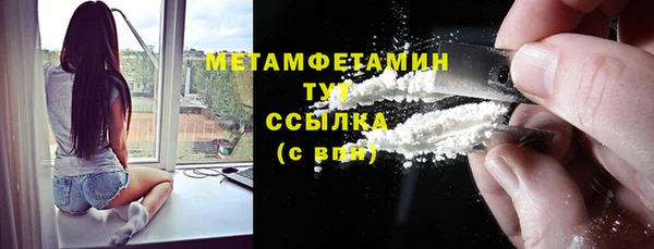 индика Мегион