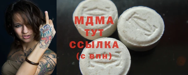 индика Мегион