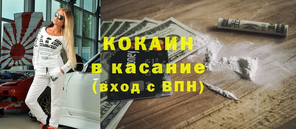 индика Мегион