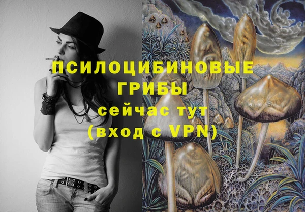 герыч Абаза