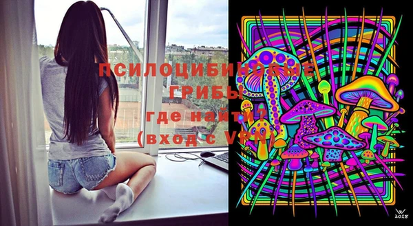 спайс Медвежьегорск