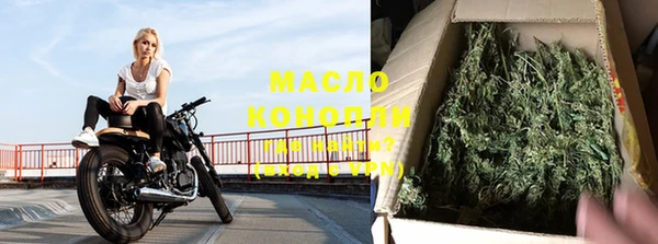 индика Мегион